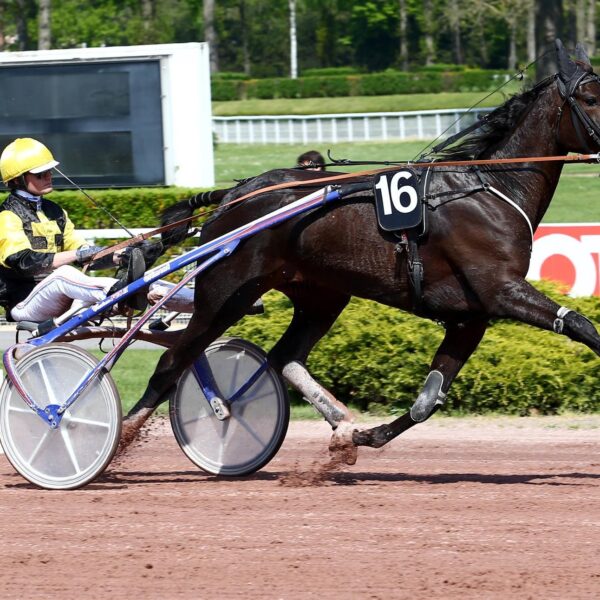 Abonnement courses de trot attelé